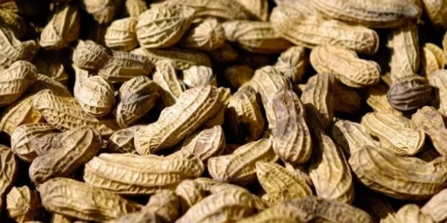 Celebrating the Tasty Benefits of Peanut Butter