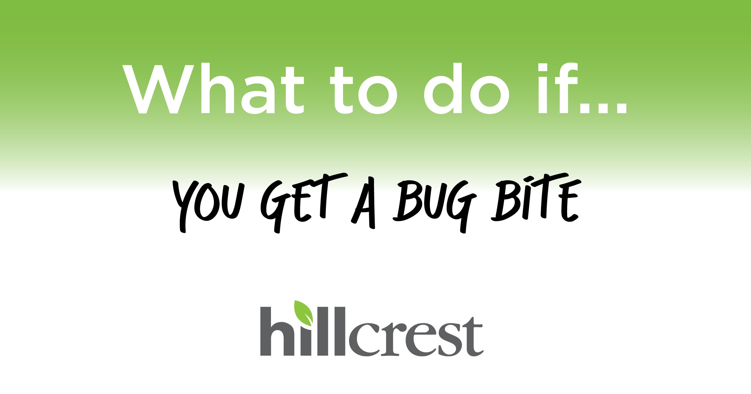 What to do if… you get a bug bite