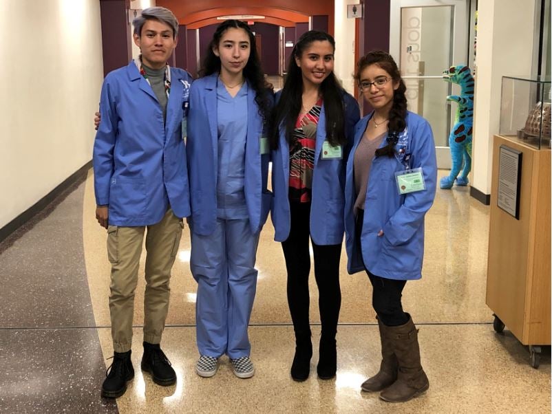 Lovelace mentoring future health professionals through FACES