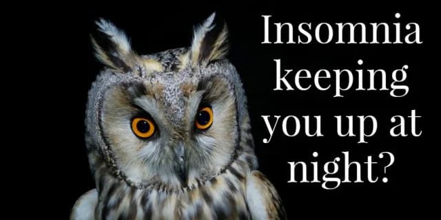 Owl next to the words "Insomnia keeping you up at night?"