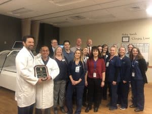 Wound care team
