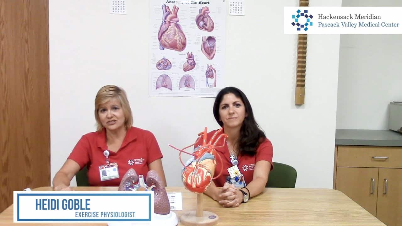 Doctors sitting in front of a model of the heart