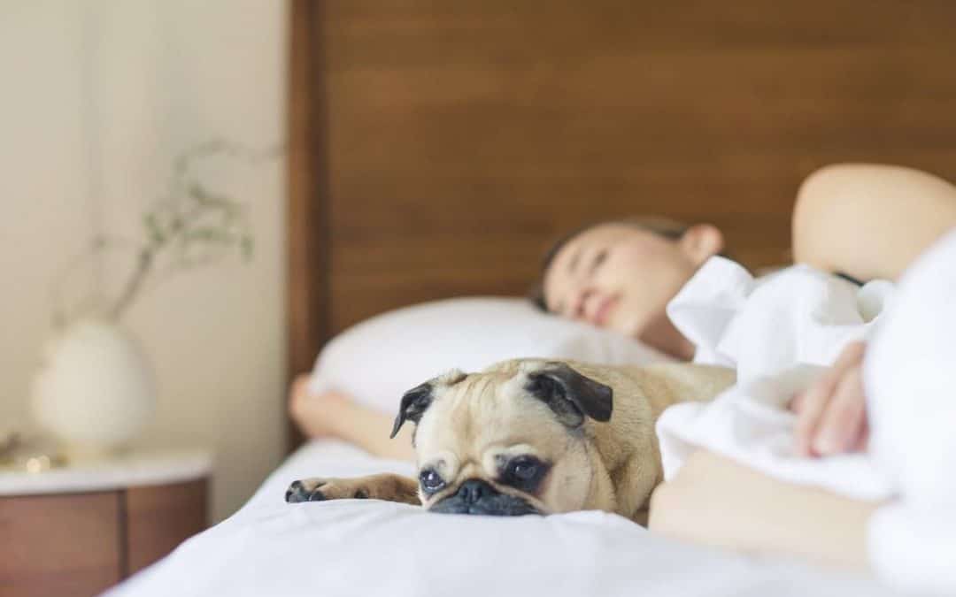 Sleeping in on the Weekends? You May Want to Break This Habit