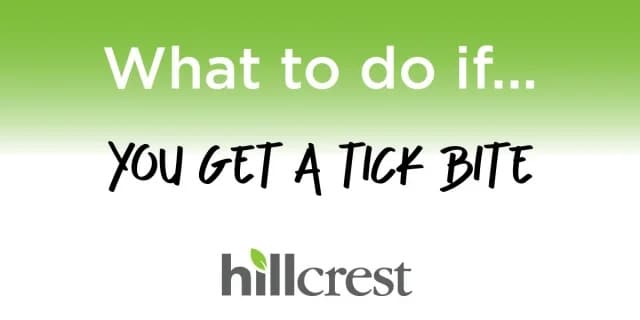 what to do if you get a tick bite text on green and white background