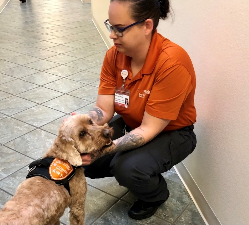Service dog provides emotional support for UT Health East Texas EMS
